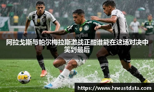 阿拉戈斯与帕尔梅拉斯激战正酣谁能在这场对决中笑到最后